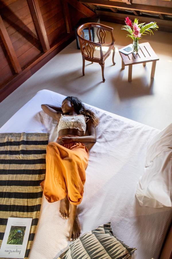 Jardin Malanga Otel Basse-Terre Dış mekan fotoğraf