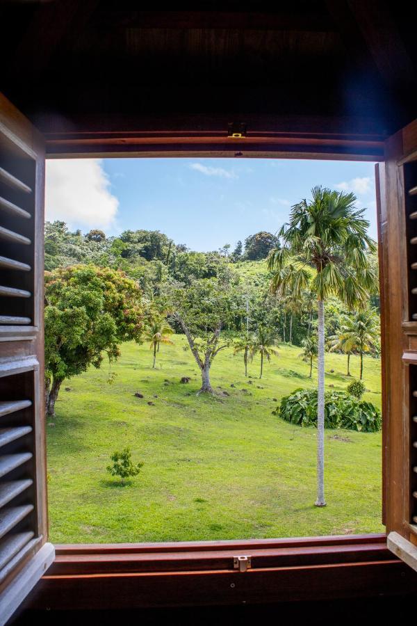Jardin Malanga Otel Basse-Terre Dış mekan fotoğraf