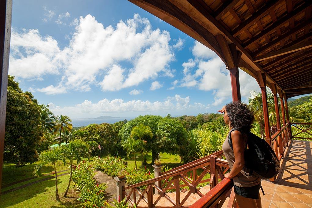 Jardin Malanga Otel Basse-Terre Dış mekan fotoğraf