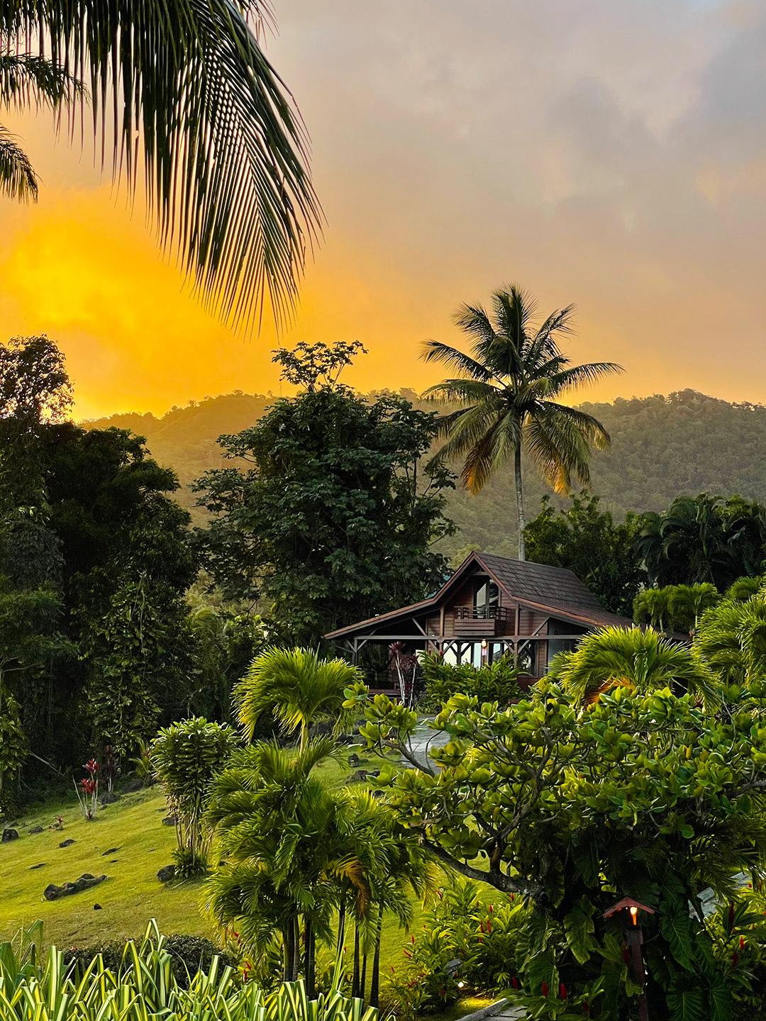 Jardin Malanga Otel Basse-Terre Dış mekan fotoğraf