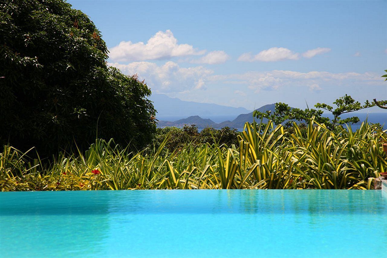 Jardin Malanga Otel Basse-Terre Dış mekan fotoğraf